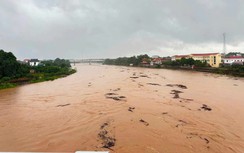 Cảnh báo bão lũ cấp 1 trên các sông địa bàn tỉnh Phú Thọ