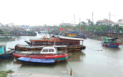Hải Phòng, Ninh Bình: Đưa tàu thuyền vào bờ tránh bão, bảo đảm an toàn cho đê điều