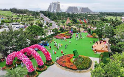 Lễ hội Ngàn hoa tạo điểm nhấn mới cho du lịch Quy Nhơn