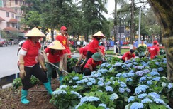 Sa Pa khởi động chương trình “Green Sa Pa”, chung tay xây dựng đô thị du lịch xanh
