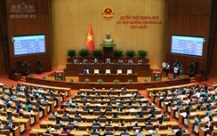 Quốc hội chốt giảm 30% thuế thu nhập cá nhân, doanh nghiệp doanh thu không quá 10 tỷ đồng