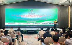 Phát triển ngành gốm sứ theo hướng tiết kiệm năng lượng, giảm phát thải carbon