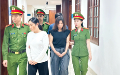 Nghiền thuốc tây trộn với đông y để "chữa viêm khớp", 3 đối tượng ở Thanh Hoá bị khởi tố