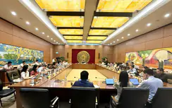 Thành lập thành phố Quảng Ninh và Bắc Ninh: ĐBQH đề nghị đặc biệt quan tâm bảo tồn di sản
