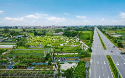 Đừng để nghĩa trang làng bị bỏ lại phía sau đô thị hóa
