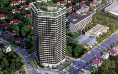 Phú Tài vào Top 100 doanh nghiệp tư nhân nộp ngân sách lớn nhất Việt Nam