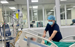 Nhiễm trùng huyết, nguy kịch vì một vết thương nhỏ xíu do mò đốt