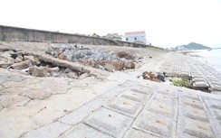 Tăng sức chống chịu cho đê biển Hà Tĩnh trước thiên tai