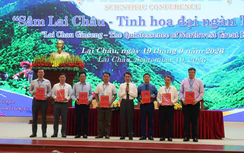 Liên kết 4 nhà, nâng giá trị sâm Lai Châu