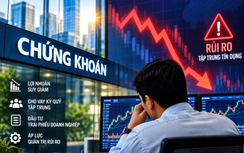 Chính phủ chỉ đạo chấm dứt cho vay tập trung vào khách hàng “sân sau”