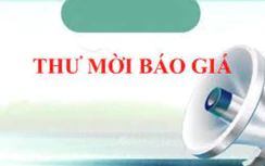 Cảng HKQT Nội Bài mời báo giá đầu tư bổ sung biển nhận diện tại Nhà ga T1, T2