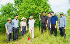 Hà Tĩnh tăng tốc làm sạch dữ liệu hơn 1,1 triệu thửa đất