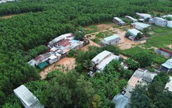 Nhiều tuyến đường, khu dân cư ở Phước Tân lại ngập nặng do nước sông Buông dâng cao