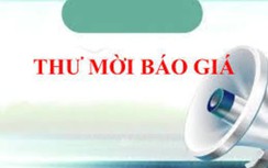 Cảng HKQT Nội Bài mời chào giá dịch vụ kiểm soát côn trùng năm 2027
