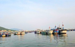 Gần 2 năm nay, Khánh Hòa không có tàu cá vi phạm khai thác ở vùng biển nước ngoài