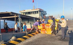 Cảng Bến Đình ở Quảng Ngãi chính thức tiếp nhận tàu hàng cập cảng