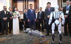 Ứng dụng công nghệ xác thực sinh trắc học, VNeID chống tội phạm giả mạo