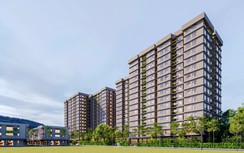 Quảng Trị: Mở bán 545 căn nhà ở xã hội, giá gần 19 triệu đồng/m²