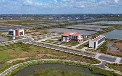 Bài cuối: Thanh tra toàn diện, phát huy hiệu quả Khu công nghệ cao tôm Bạc Liêu