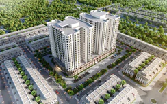 Quảng Ninh: Chấp thuận đầu tư dự án nhà ở xã hội 647 tỷ đồng tại đồi Thủy Sản