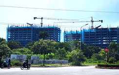 Ninh Bình: Đẩy nhanh phát triển nhà ở xã hội, nhà ở cho thuê