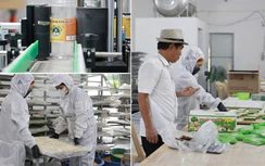 Hưng Yên: Đặc sản quê lên sàn số, người dân có thêm việc làm và thu nhập