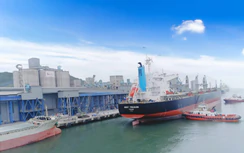 Công bố mở cầu cảng số 10 bến cảng Long Sơn, tiếp nhận tàu tới 20.000 DWT giảm tải