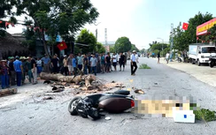 Thanh Hóa: Bị cây ven đường đổ trúng, người đi xe máy tử vong thương tâm