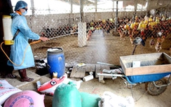 Xuất cấp vaccine, hóa chất sát trùng cho 2 tỉnh