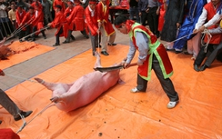 Lễ hội đầu năm tràn ngập hình ảnh phản cảm