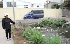 Hà Nội: Hàng nghìn người dân hoang mang vì muỗi