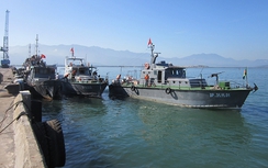 Đăng đáy “bủa vây” luồng tàu cảng Chân Mây
