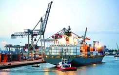 Doanh nghiệp hàng hải kêu khổ vì phụ phí