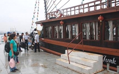 Buộc di dời khỏi Bến Bạch Đằng, doanh nghiệp than khó