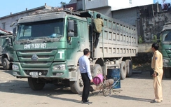 Chủ tịch tỉnh xấu hổ vì chưa xử lý được xe quá tải