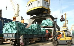 Đình chỉ Giám đốc cảng Hoàng Diệu vì để xe xếp hàng quá tải