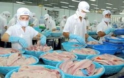 Xuất khẩu gặp khó, nguy cơ nhập siêu trở lại