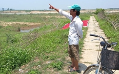 Đổ nợ sau vụ “dưa đắng”