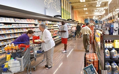 Dân EU ngán ngẩm với “chúa chổm” Hy Lạp