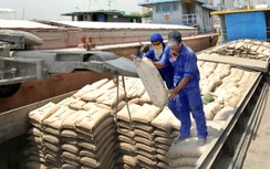 Thương lái "ép giá" xi măng xuất khẩu