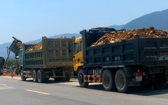 Xe quá tải tái diễn, nhà thầu “cầu cứu” Bộ GTVT