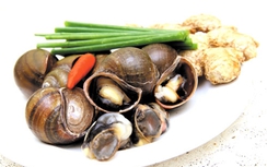 Ốc nhồi giải rượu