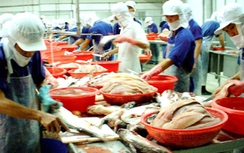 Mỹ là thị trường xuất khẩu lớn nhất của Việt Nam