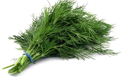 Ăn thì là, ngăn ngừa ung thư