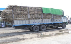 Đường Đông Trường Sơn "oằn mình" gánh xe quá tải