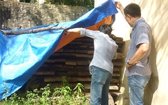 Thâm nhập lãnh địa gỗ lậu vùng biên