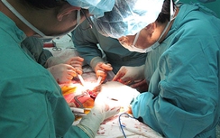 Gần 10.000 người có nhu cầu ghép tạng