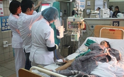 5 người trong gia đình cùng ngộ độc nấm rừng