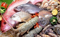 Phát hiện sử dụng chất tạo nạc trong chăn nuôi thủy sản