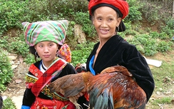 Đặc sản núi rừng rầm rập về phố chờ Tết, cẩn thận bị lừa